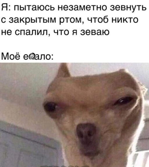 Прикольные и смешные картинки