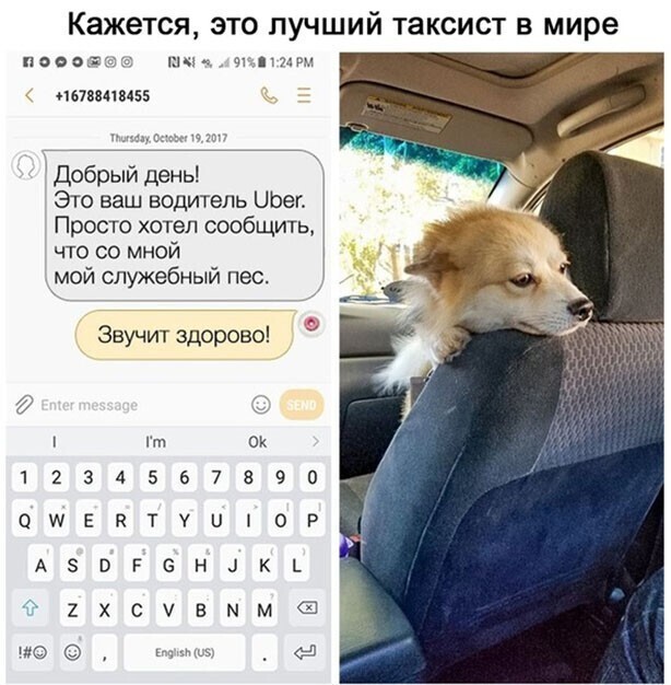 Прикольные и смешные картинки