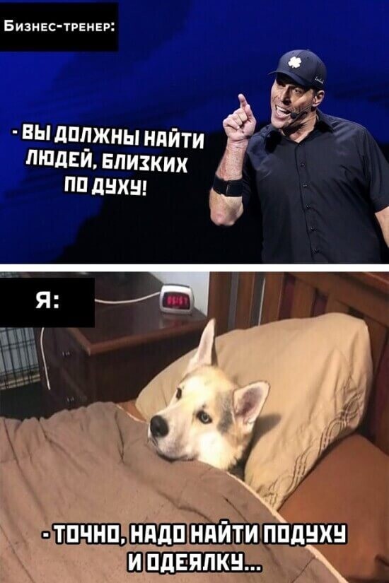 Намешалось