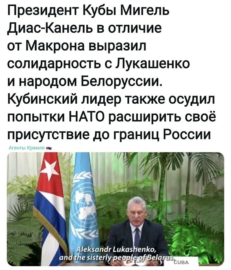 Политические комментарии из инета