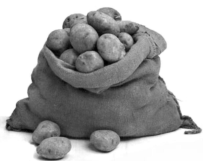 Картошка в СССР: 6 интересных фактов