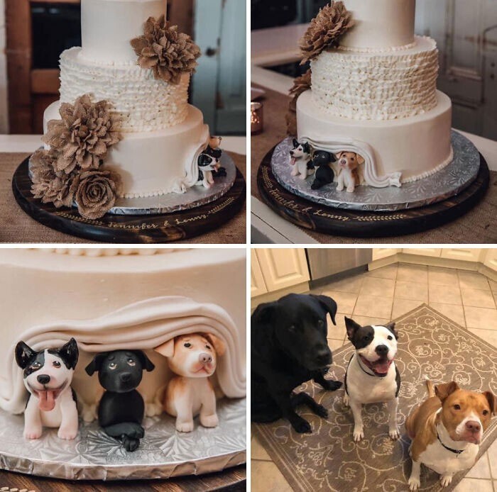 3. Идеальный свадебный торт для владельцев собак