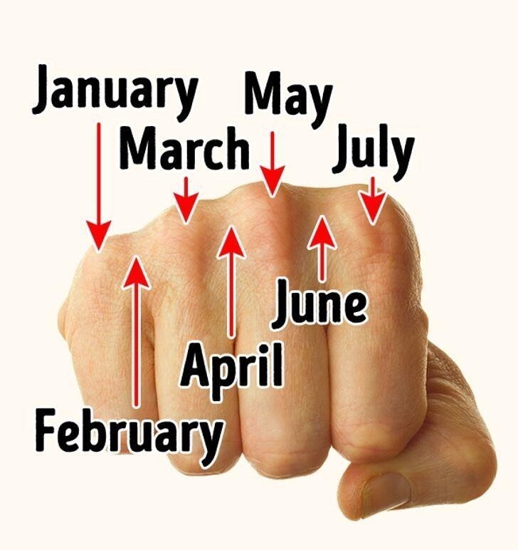 Сколько дней в месяце высчитать легко по костяшкам пальцев - костяшка 31 лень, ямка между ними 30 (не считая февраля конечно)