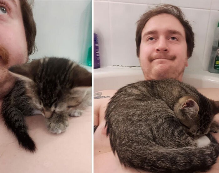 "В первый же день, когда я взял свою кошку домой, она как-то умудрилась проскочить в ванную  и заснула на моем плече... Спустя годы ничего не меняется"
