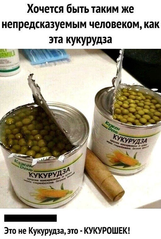 Прикольные и смешные картинки