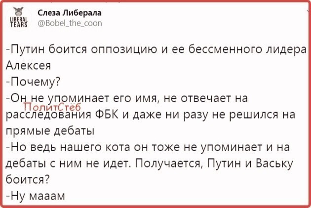 Политические комментарии 2