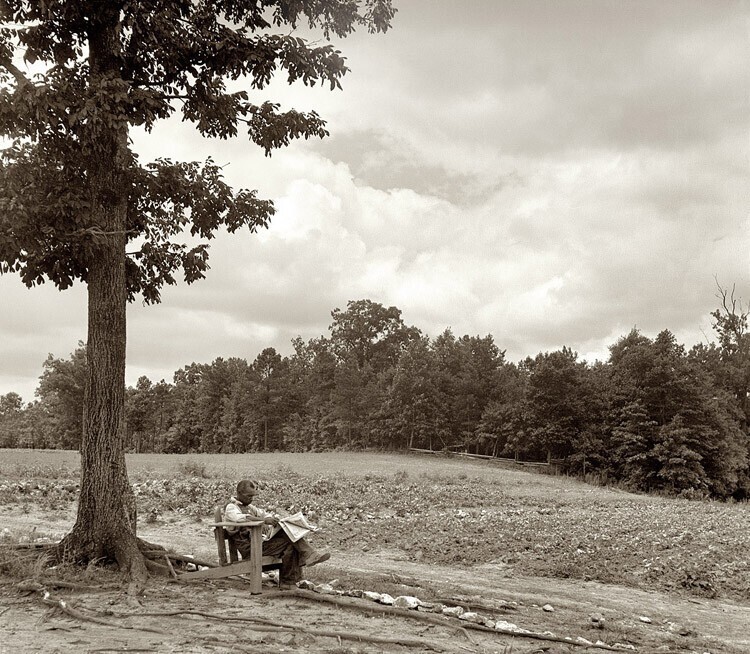 Июль 1939, темнокожий фермер читает газету в жаркий субботний день, Северная Каролина.