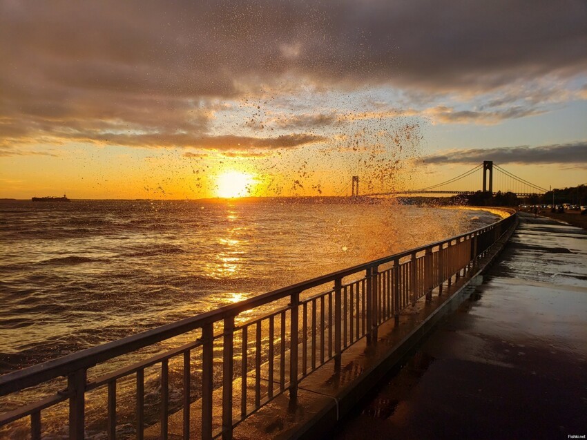 Мост Верразано (Verrazzano-Narrows Bridge)