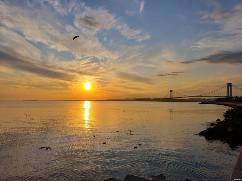 Мост Верразано (Verrazzano-Narrows Bridge)