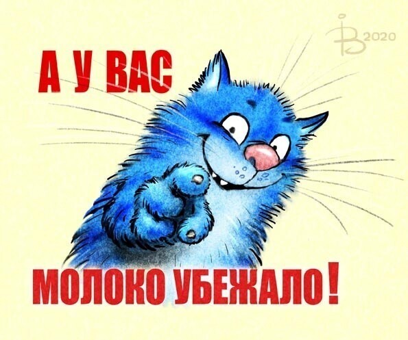 Коты минской художницы Ирины Зенюк. 2020 г. 6 часть