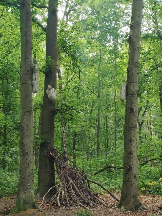 7. «Деревянные фигурки, висящие на деревьях в лесу неподалёку от меня. Думаю, надо найти новый велосипедный маршрут»