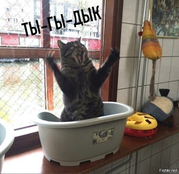 Вы это пропоёте