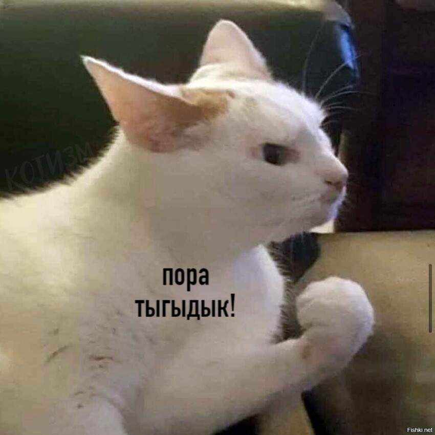 Вы это пропоёте