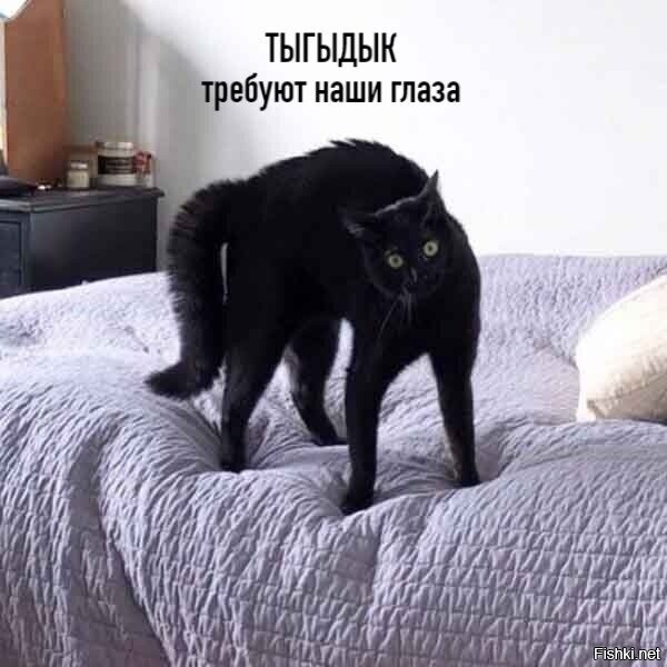 Вы это пропоёте
