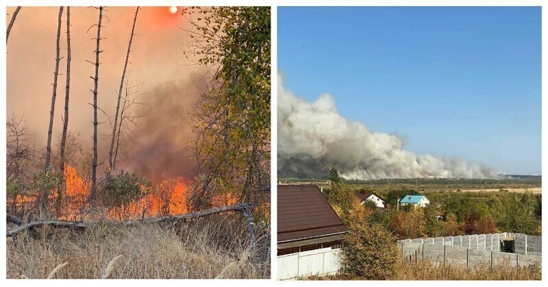 Воронежская область в огне: огонь добрался до жилых домов