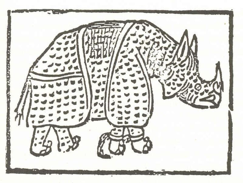 Гравюра с изображением лиссабонского носорога (неизвестный художник)