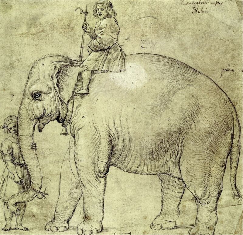 Слон Анноне (Рафаэль Санти) Raphael/Wikimedia))