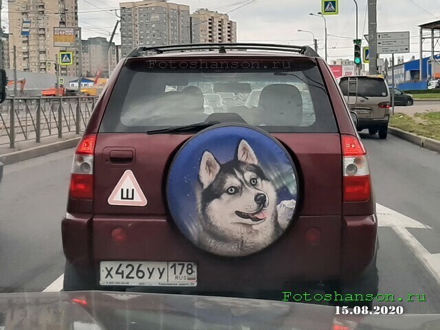 Автовсячина