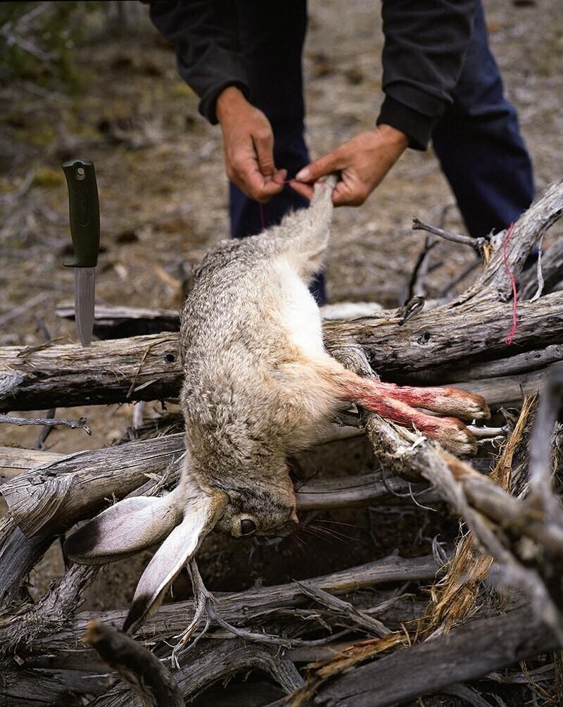 Разделывание кролика, Додж Покет, штат Невада.