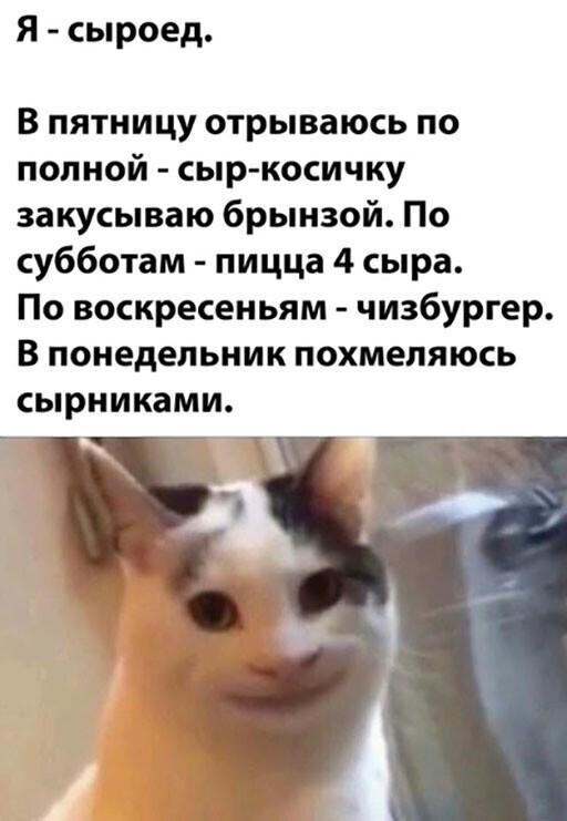 Прикольные и смешные картинки