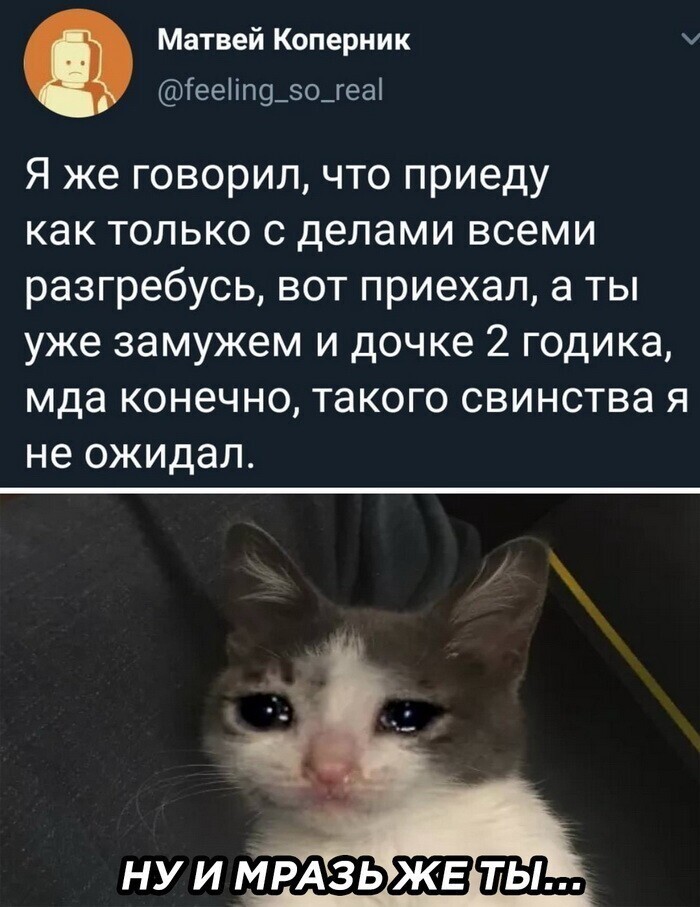 Скрины из социальных сетей