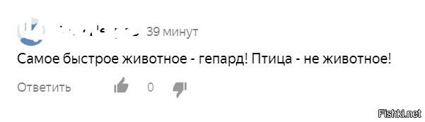 Коментарии к статье о самом быстром животном (сапсан)