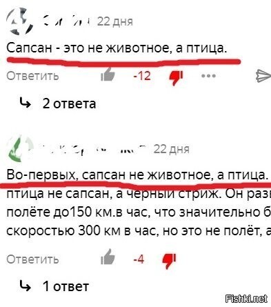 Коментарии к статье о самом быстром животном (сапсан)