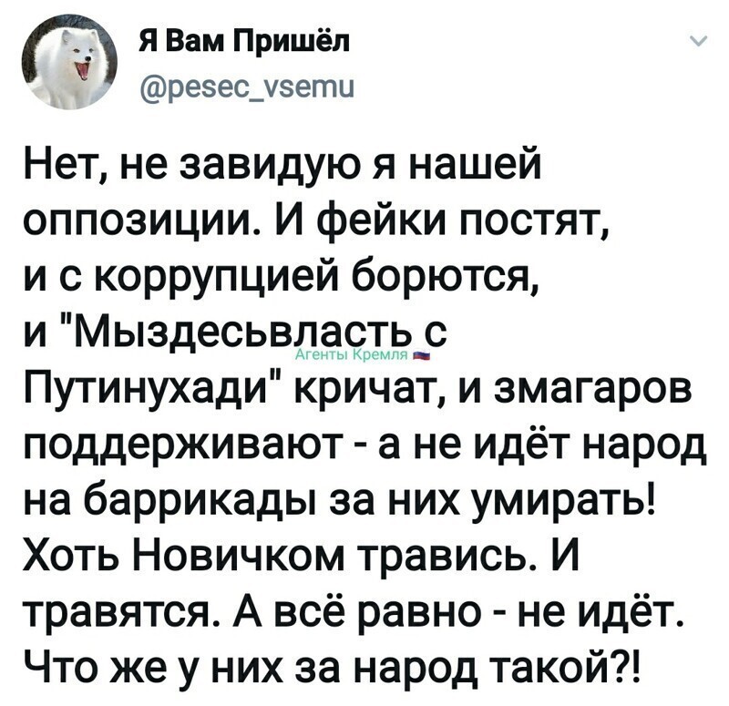 Политические комментарии из инета