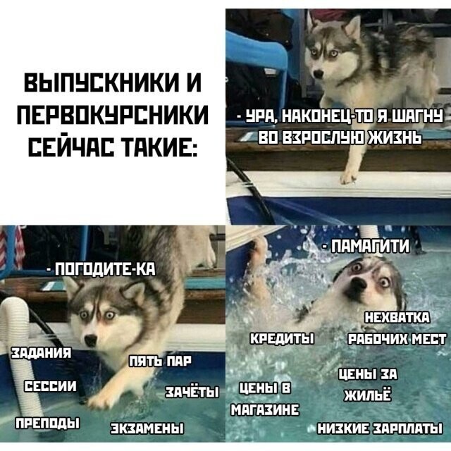 Намешалось