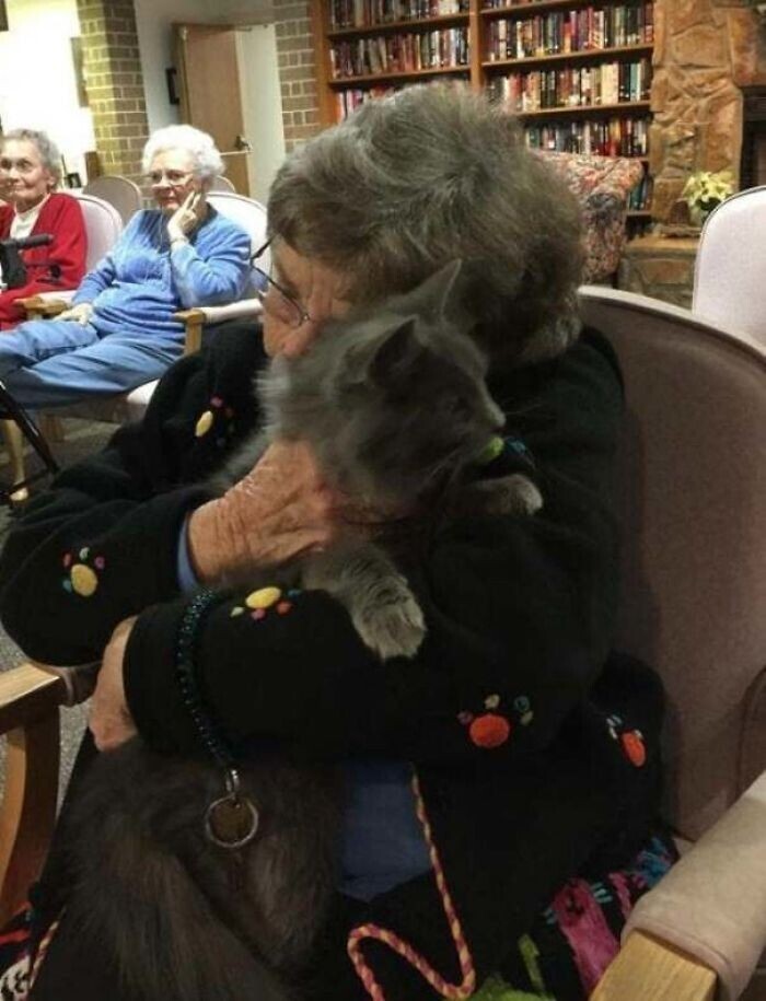 "Кошка, которая живет у меня на передержке, участвует в программе терапии в домах престарелых. Это фото - вместо тысячи слов"
