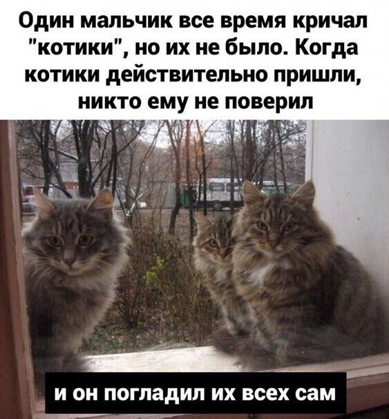 Прикольные и смешные картинки