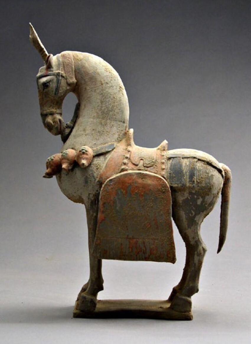 Одомашнены лошади были около 6000 лет назад.