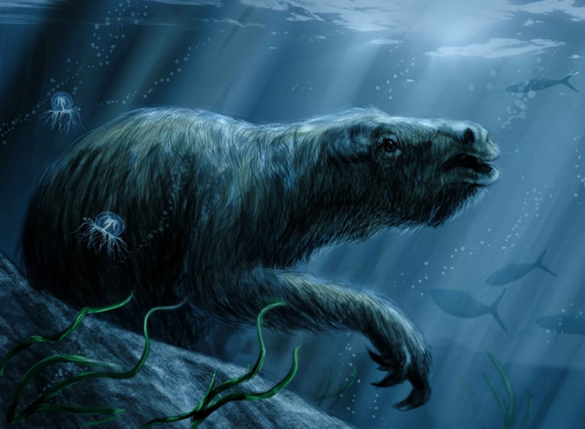 Талассокнус: Подводная лень. Как ленивцу удалось перейти к водному образу жизни?