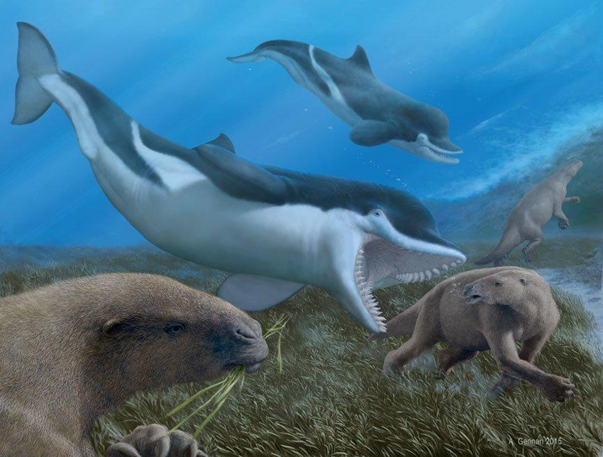 Талассокнус: Подводная лень. Как ленивцу удалось перейти к водному образу жизни?