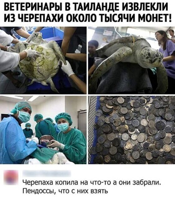 Скрины из социальных сетей