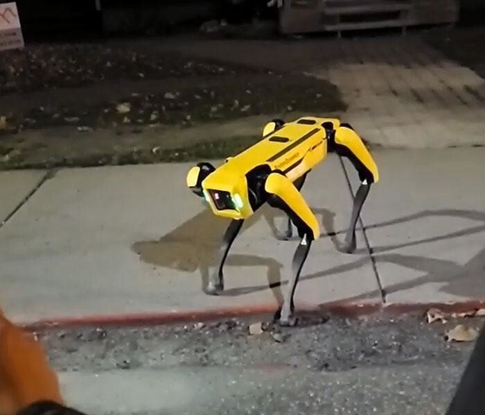 Робопёс Boston Dynamics блуждает по улицам Онтарио и пугает интернет