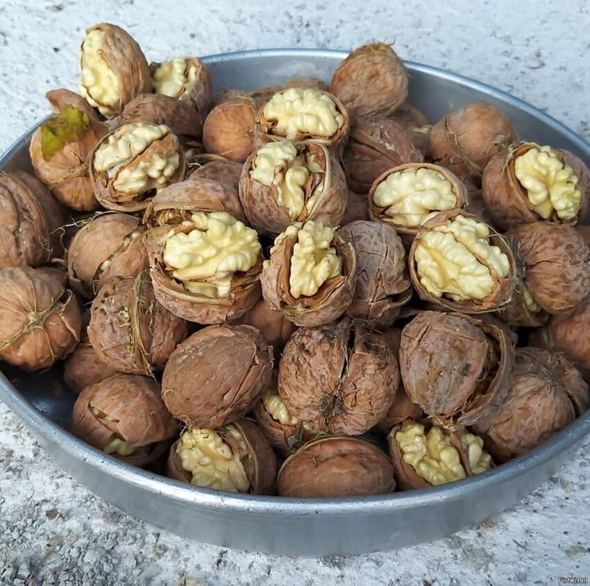 Солянка