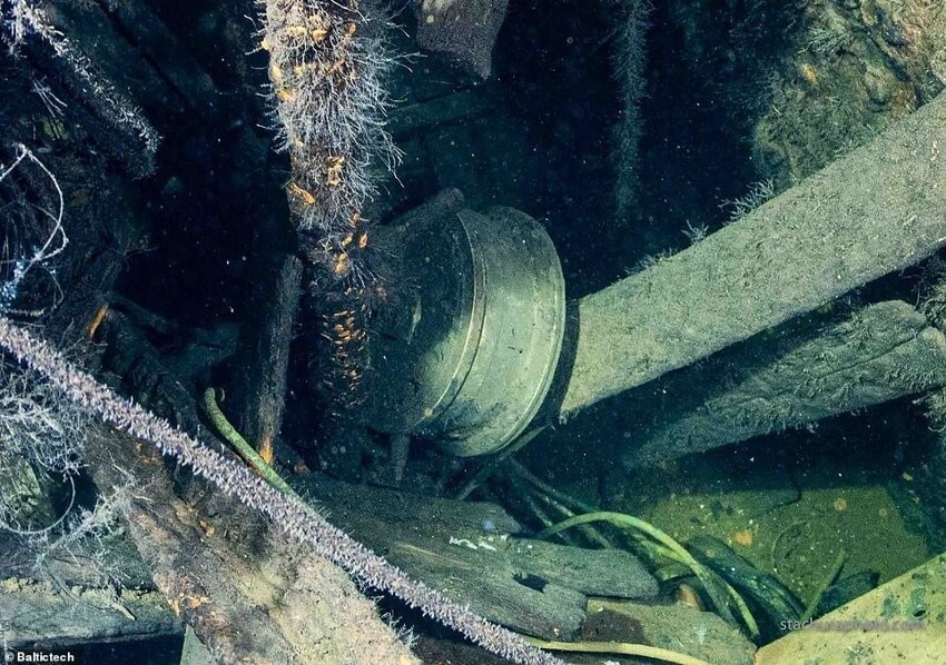 Найден затонувший фашистский корабль, на борту которого может оказаться Янтарная комната