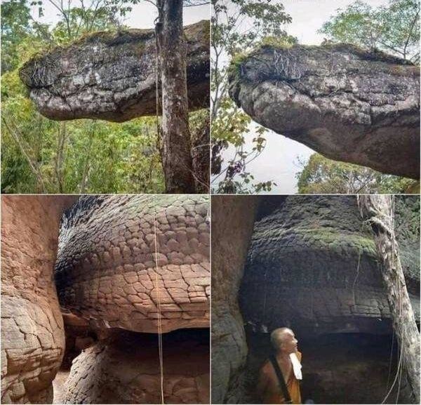 Пещера в Таиланде, которая выглядит как гигантская окаменевшая змея