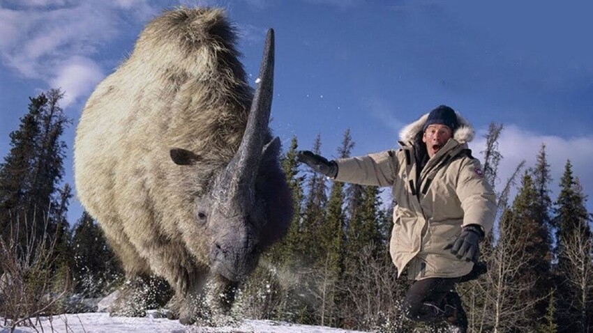 Эласмотерий: Рог размером с человека! Сверхмассивного носорога застали наши предки