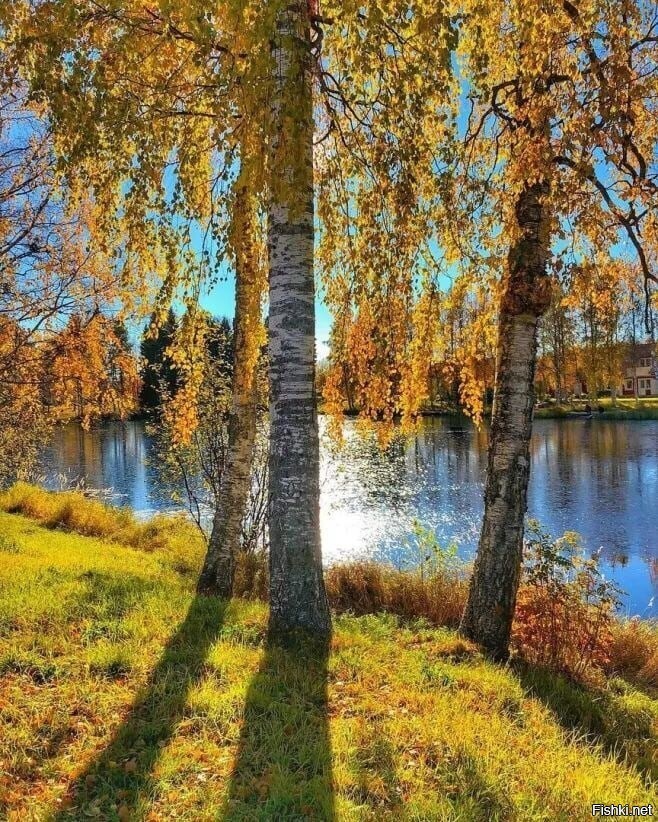 Кому-то — май