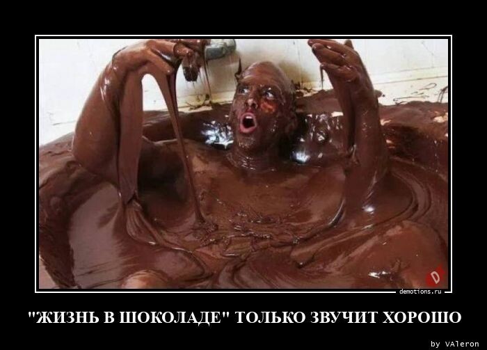 Жизнь в шоколаде!