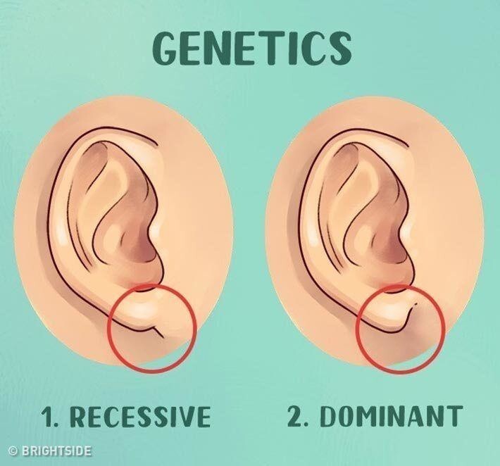 Доминантный — это неповреждённый, то есть функциональный ген. Рецессивный — поломанный (обычно с мутацией), именно поэтому его функциональность нарушена и проявление возможно только в отсутствие доминантного (работающего, функционального) гена