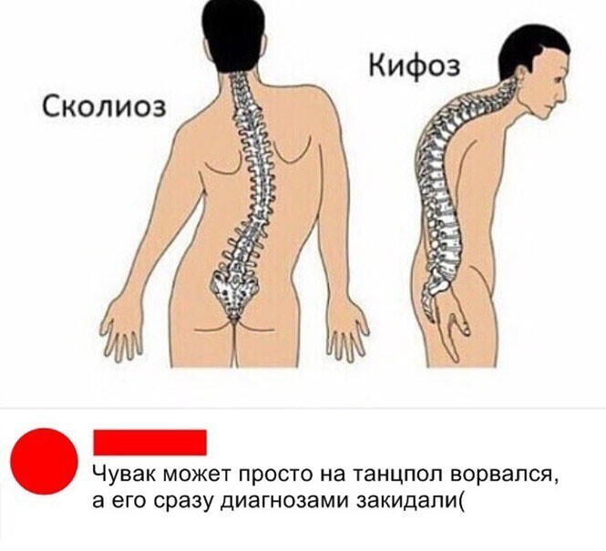 Прикольные и смешные картинки