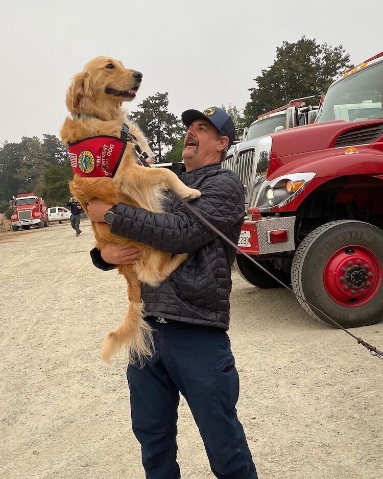 Чудо-собака помогает пожарным в Калифорнии 