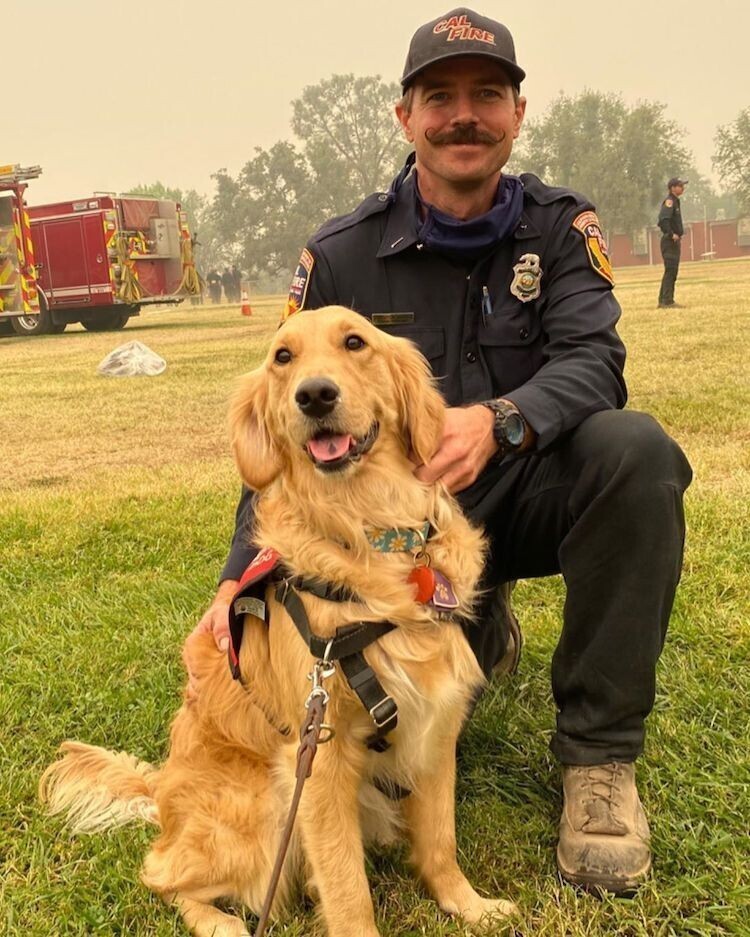 Чудо-собака помогает пожарным в Калифорнии 