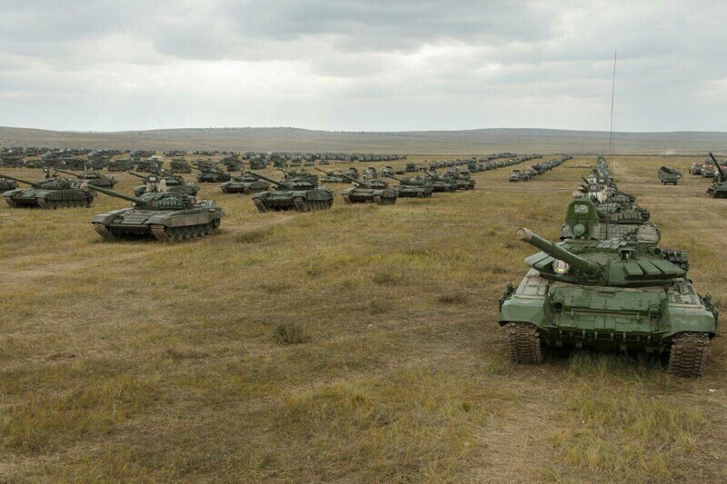 Украинские нацисты рассчитывают, что лес защитит страну от российского вторжения