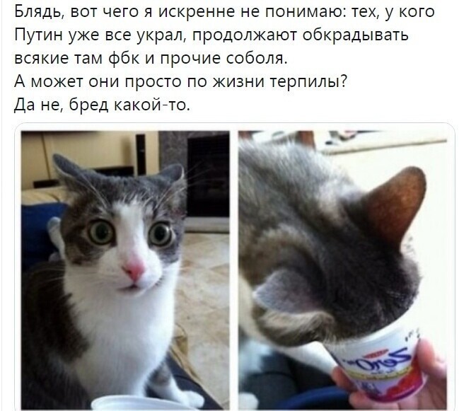 Политические комментарии 2