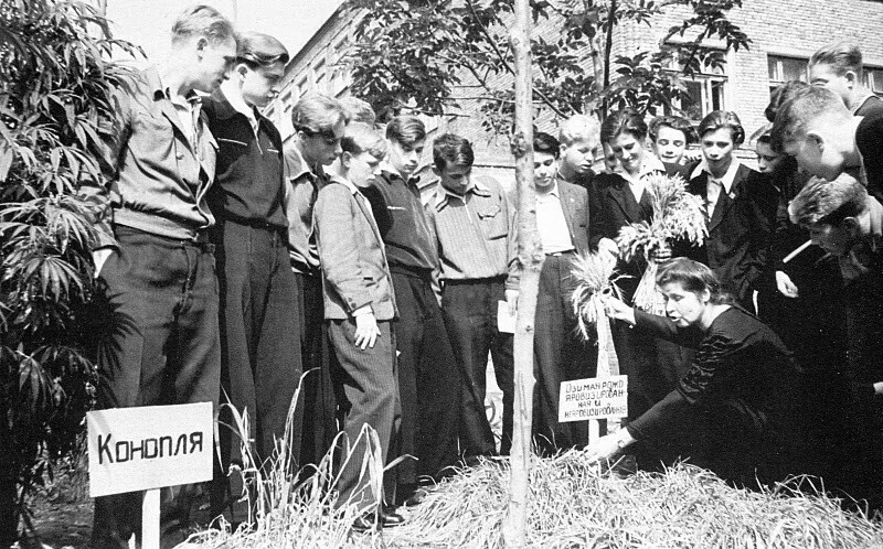 Группа учащихся 9-го класса 636-й мужской средней школы на пришкольном опытном участке. Москва, сентябрь 1950 года