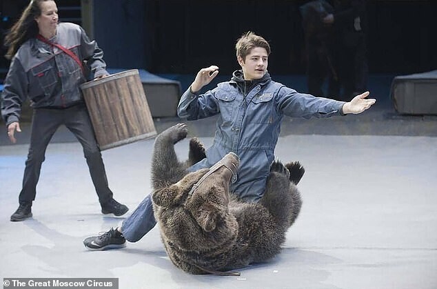 Уборщика в московском цирке задрал медведь